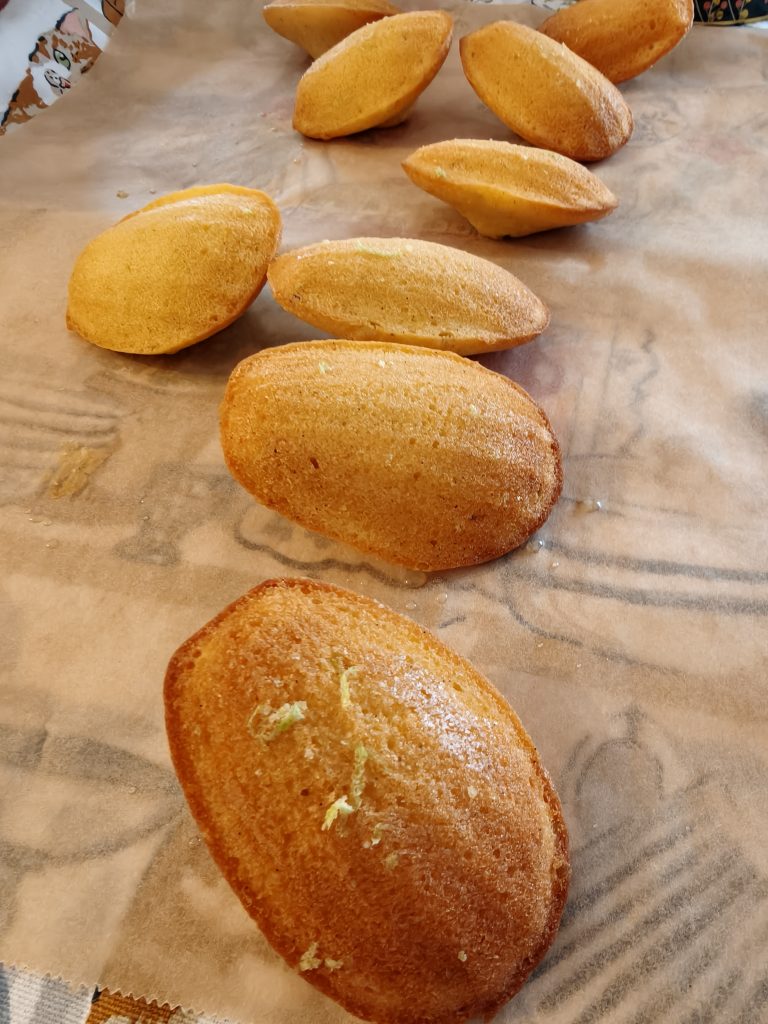 Madeleines topped with citrus zest, glossy with honey on baking paper